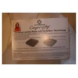 2 New TempTexx jumbo pillows...