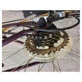 16 Inch Schwinn 10 Speed Cruiser