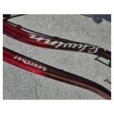 16 Inch Schwinn 10 Speed Cruiser