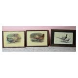 Awesome Naturalist Fine Art Pheasant Print Collection - (3)