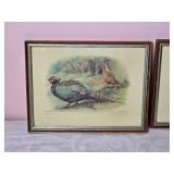 Awesome Naturalist Fine Art Pheasant Print Collection - (3)