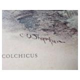 Awesome Naturalist Fine Art Pheasant Print Collection - (3)