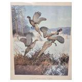Naturalist Fine Art Print Pair - Lynn Bogue Hunt