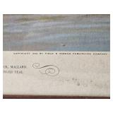 Naturalist Fine Art Print Pair - Lynn Bogue Hunt