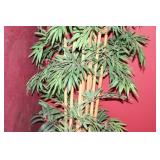 Large Artificial Bamboo Plant in Decorative Pot