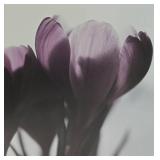 Lovely Signed Floral Print