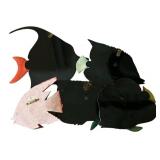 Vibrant Decorative Fish