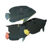 Pretty Decorative Fish Wall Hanging Plaques