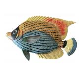 Pretty Decorative Fish Wall Hanging Plaques