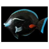Variety of Vibrant Fish Decor