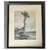 The Witch Tree Framed Print