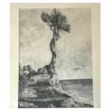 The Witch Tree Framed Print