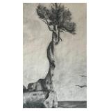 The Witch Tree Framed Print