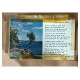 The Witch Tree Framed Print