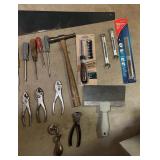 Tools including Saw, Hammer, Pliers, File, Scissors and More