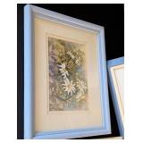 Decorative Framed Floral Prints