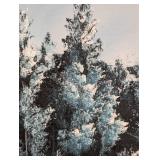 Scenic Oil on Canvas Painting by Pam Bonner