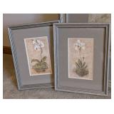Lovely Framed Orchid Prints