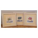 Small Framed Floral Prints by Fiona Butler