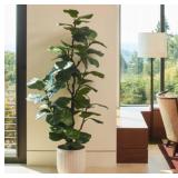 Faux 6.5 Fig Tree MSRP - $170