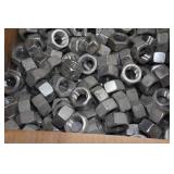 Stainless Steel Hex Nuts - 1"