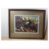Framed Peacock Print