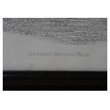 Framed Boat Print "Showboat Branson Belle"