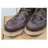 Irish Setter Ashby Men