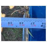 Lot of 5 Empty Blue Barrels - 37" Tall, Base is 20 1/4" - Contained Organic Coconut Cream