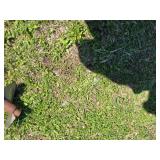 Lot of 1 of these NEW Stainless Steel Augers - 25