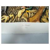 Just Rewards by Steve Hamrick