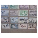 (A-4) Framed Collection of $1 to $5...