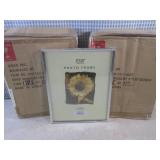 (CS) 12 - 8x10 Silver Reminiscent P...