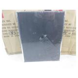 (CS) 11 - 8x10 Silver Reminiscent P...