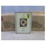 (CSB) 12 - 5x7 Silver Mini EZ Pictu...