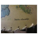 (BR1) Assortment of Lamp Shades...