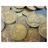 501 Wheat Pennies