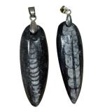 Two Orthoceras Pendants