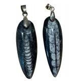 Two Orthoceras Pendants