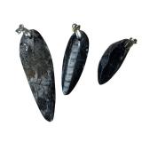 Three Orthoceras Pendants
