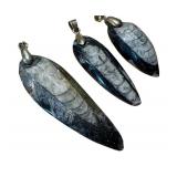 Three Orthoceras Pendants