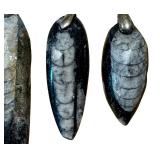 Three Orthoceras Pendants