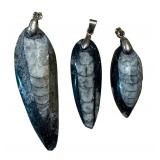 Three Orthoceras Pendants