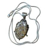 Sterling Silver Shell Fossil Cabochon