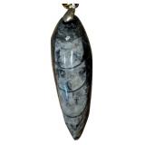 Orthoceras and Ammonite Fossil Pendants