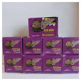 Golden Bear .223 REM 62 grain bimetal HP cartridges in brass plated cases - 9 Boxes - 20 rounds each 180 total