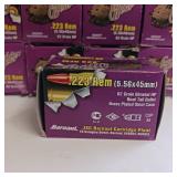 Golden Bear .223 REM (5.56x45) - 62 grain bimetal HP - Boat Tail Bullet in brass plated steel case - 9 Boxes - 20 rounds each 180 total