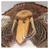 Taxidermy Turkey Mount