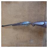 BB gun ** Daisy/rogers