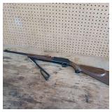 BB gun ** Daisy/rogers